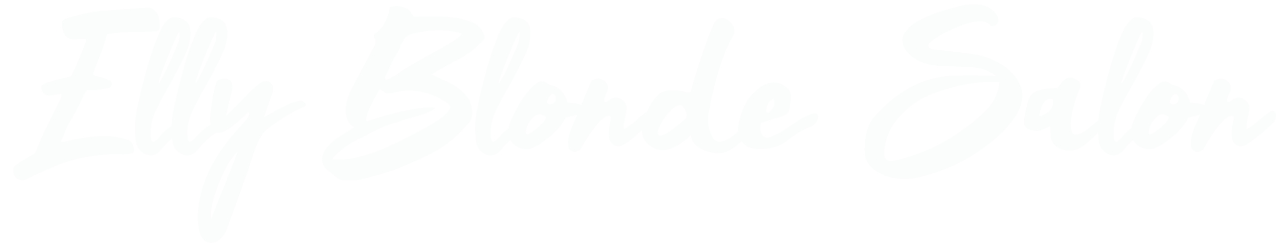 Elly Blonde Salon