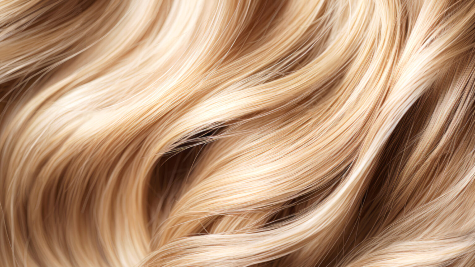 Elly Blonde Salon